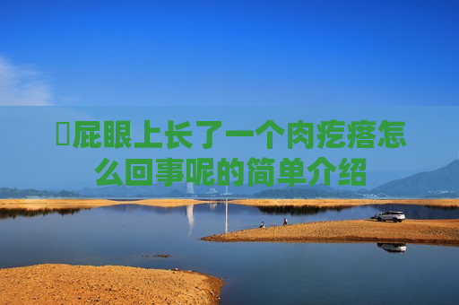 ​屁眼上长了一个肉疙瘩怎么回事呢的简单介绍