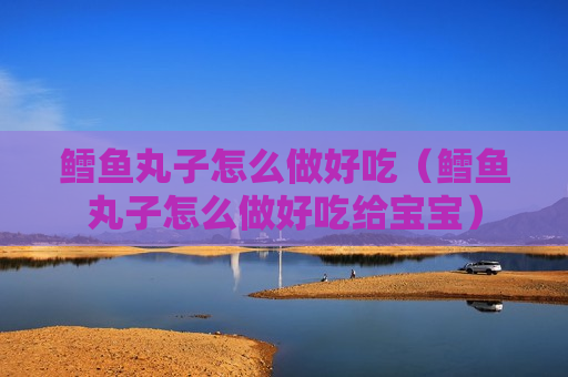 鳕鱼丸子怎么做好吃（鳕鱼丸子怎么做好吃给宝宝）