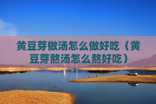 黄豆芽做汤怎么做好吃（黄豆芽熬汤怎么熬好吃）