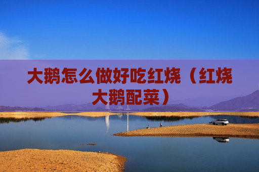 大鹅怎么做好吃红烧（红烧大鹅配菜）
