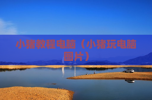 小猪教程电脑（小猪玩电脑图片）