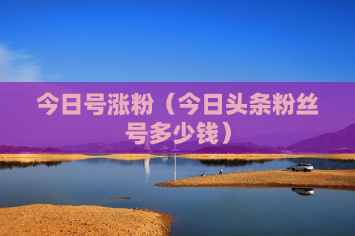 今日号涨粉（今日头条粉丝号多少钱）