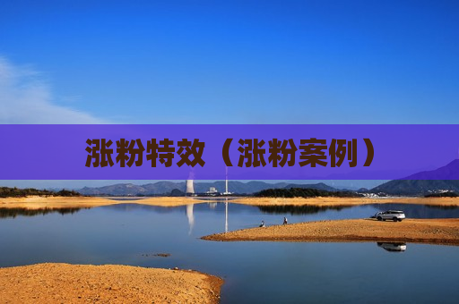涨粉特效（涨粉案例）