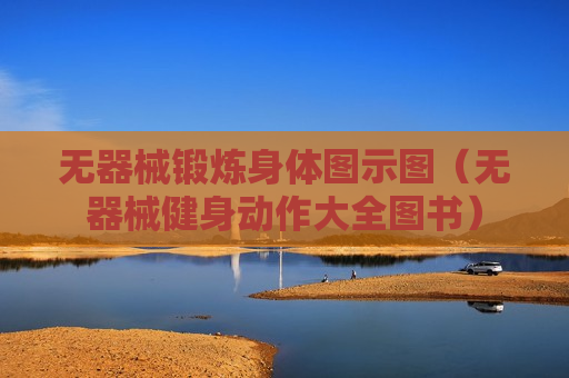 无器械锻炼身体图示图（无器械健身动作大全图书）