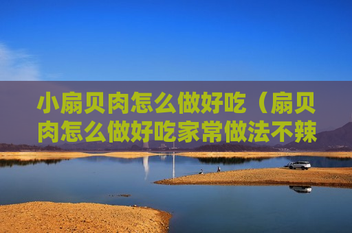 小扇贝肉怎么做好吃（扇贝肉怎么做好吃家常做法不辣）