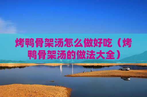 烤鸭骨架汤怎么做好吃（烤鸭骨架汤的做法大全）