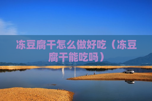 冻豆腐干怎么做好吃（冻豆腐干能吃吗）