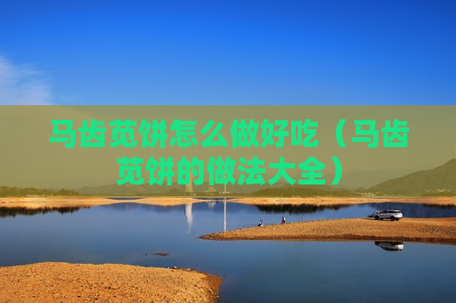 马齿苋饼怎么做好吃（马齿苋饼的做法大全）