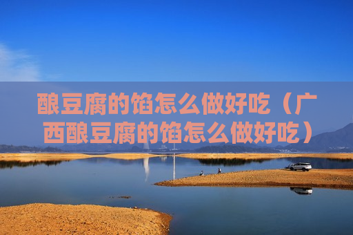 酿豆腐的馅怎么做好吃（广西酿豆腐的馅怎么做好吃）
