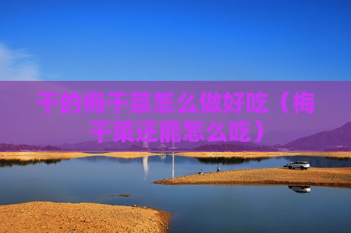 干的梅干菜怎么做好吃（梅干菜还能怎么吃）