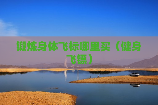 锻炼身体飞标哪里买（健身飞镖）