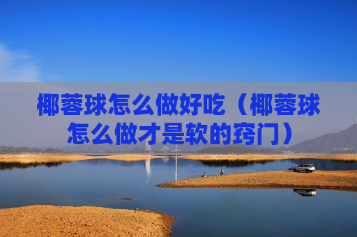 椰蓉球怎么做好吃（椰蓉球怎么做才是软的窍门）