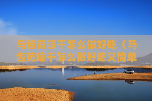 马齿苋晾干怎么做好吃（马齿苋晾干怎么做好吃又简单）