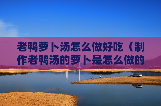 老鸭萝卜汤怎么做好吃（制作老鸭汤的萝卜是怎么做的?）