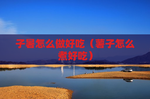 子暑怎么做好吃（薯子怎么煮好吃）