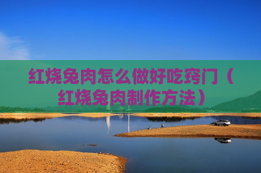 红烧兔肉怎么做好吃窍门（红烧兔肉制作方法）