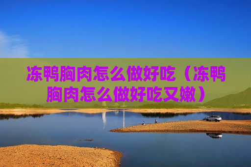 冻鸭胸肉怎么做好吃（冻鸭胸肉怎么做好吃又嫩）