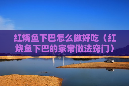 红烧鱼下巴怎么做好吃（红烧鱼下巴的家常做法窍门）