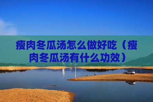 瘦肉冬瓜汤怎么做好吃（瘦肉冬瓜汤有什么功效）