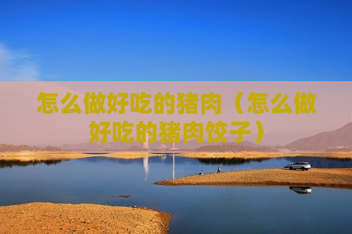 怎么做好吃的猪肉（怎么做好吃的猪肉饺子）