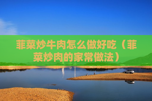 菲菜炒牛肉怎么做好吃（菲菜炒肉的家常做法）