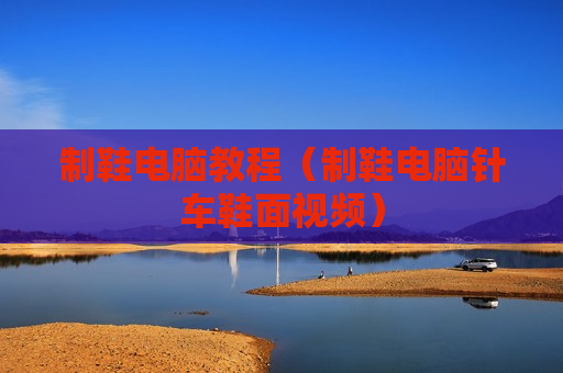 制鞋电脑教程（制鞋电脑针车鞋面视频）