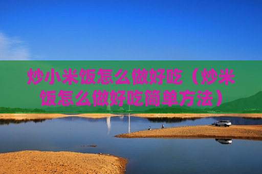 炒小米饭怎么做好吃（炒米饭怎么做好吃简单方法）