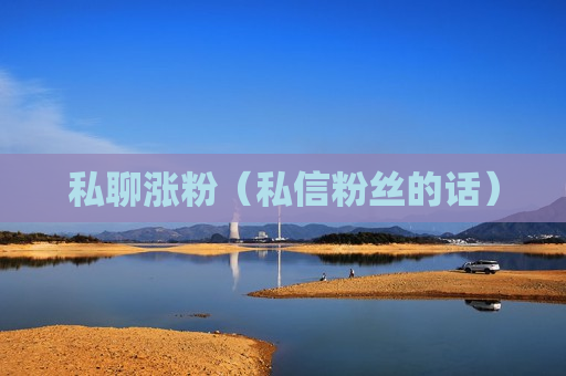 私聊涨粉（私信粉丝的话）