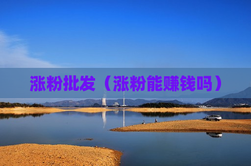 涨粉批发（涨粉能赚钱吗）