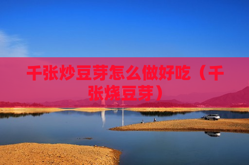 千张炒豆芽怎么做好吃（千张烧豆芽）
