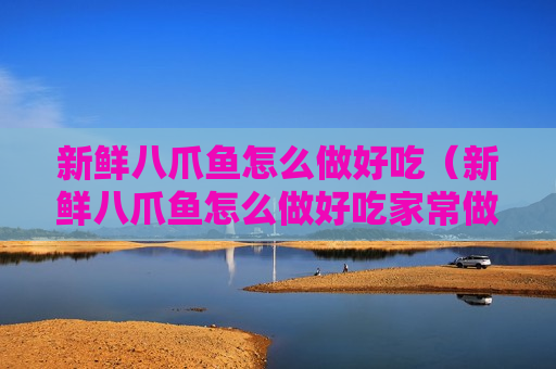 新鲜八爪鱼怎么做好吃（新鲜八爪鱼怎么做好吃家常做法）