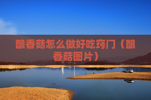 酿香菇怎么做好吃窍门（酿香菇图片）