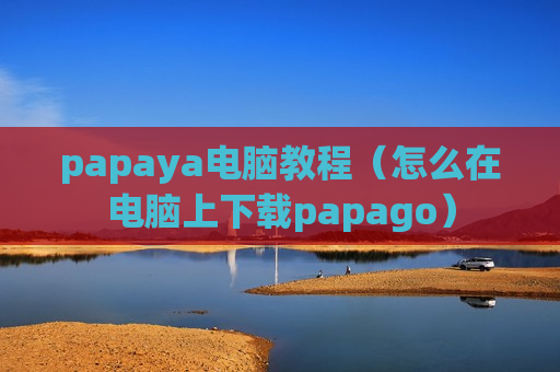 papaya电脑教程（怎么在电脑上下载papago）