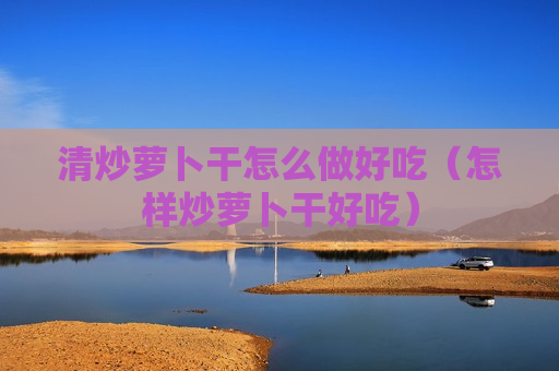 清炒萝卜干怎么做好吃（怎样炒萝卜干好吃）