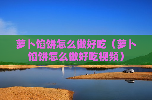 萝卜馅饼怎么做好吃（萝卜馅饼怎么做好吃视频）