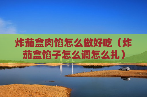炸茄盒肉馅怎么做好吃（炸茄盒馅子怎么调怎么扎）