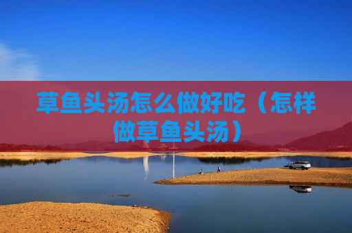 草鱼头汤怎么做好吃（怎样做草鱼头汤）
