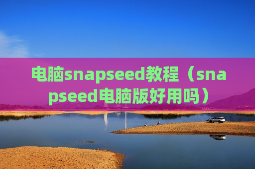 电脑snapseed教程（snapseed电脑版好用吗）