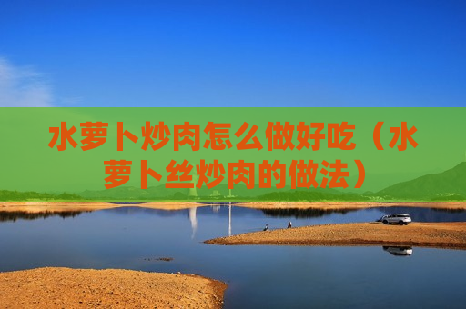 水萝卜炒肉怎么做好吃（水萝卜丝炒肉的做法）