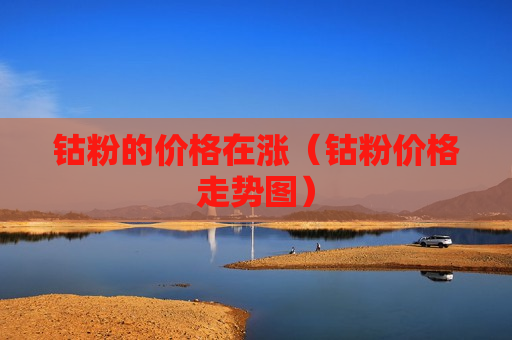 钴粉的价格在涨（钴粉价格走势图）
