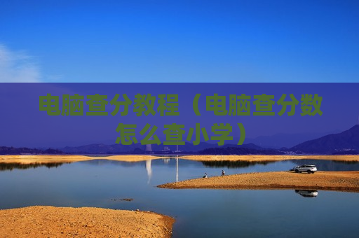 电脑查分教程（电脑查分数怎么查小学）