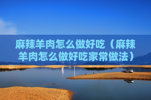 麻辣羊肉怎么做好吃（麻辣羊肉怎么做好吃家常做法）