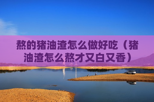 熬的猪油渣怎么做好吃（猪油渣怎么熬才又白又香）