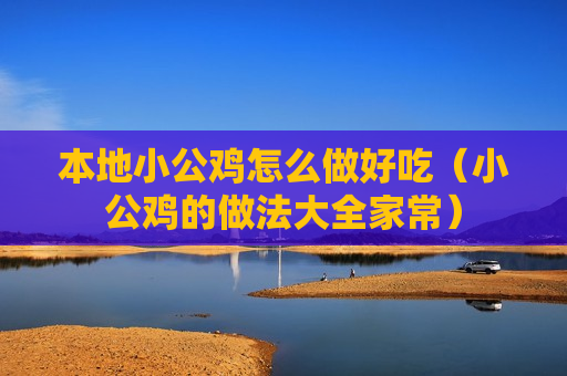 本地小公鸡怎么做好吃（小公鸡的做法大全家常）