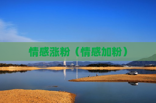 情感涨粉（情感加粉）