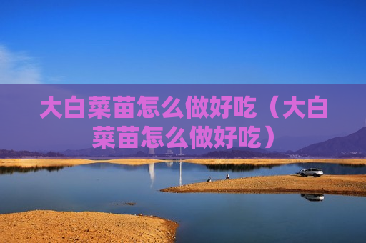 大白菜苗怎么做好吃（大白菜苗怎么做好吃）