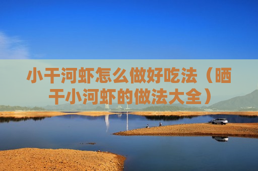 小干河虾怎么做好吃法（晒干小河虾的做法大全）