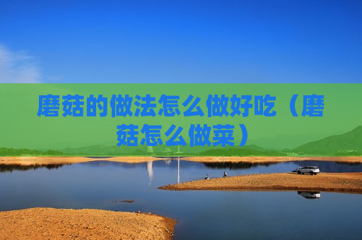 磨菇的做法怎么做好吃（磨菇怎么做菜）