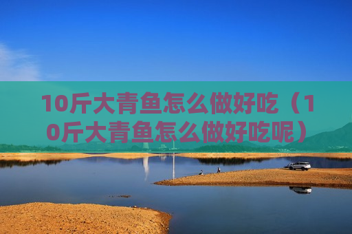 10斤大青鱼怎么做好吃（10斤大青鱼怎么做好吃呢）