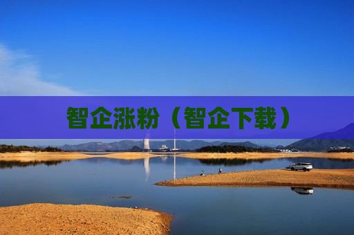 智企涨粉（智企下载）